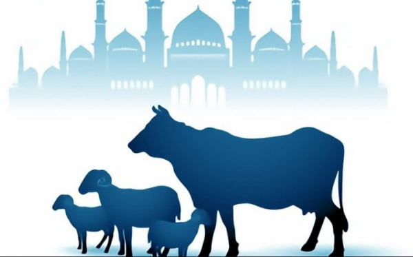 Mengenal Makna dan Hikmah dari Berkurban